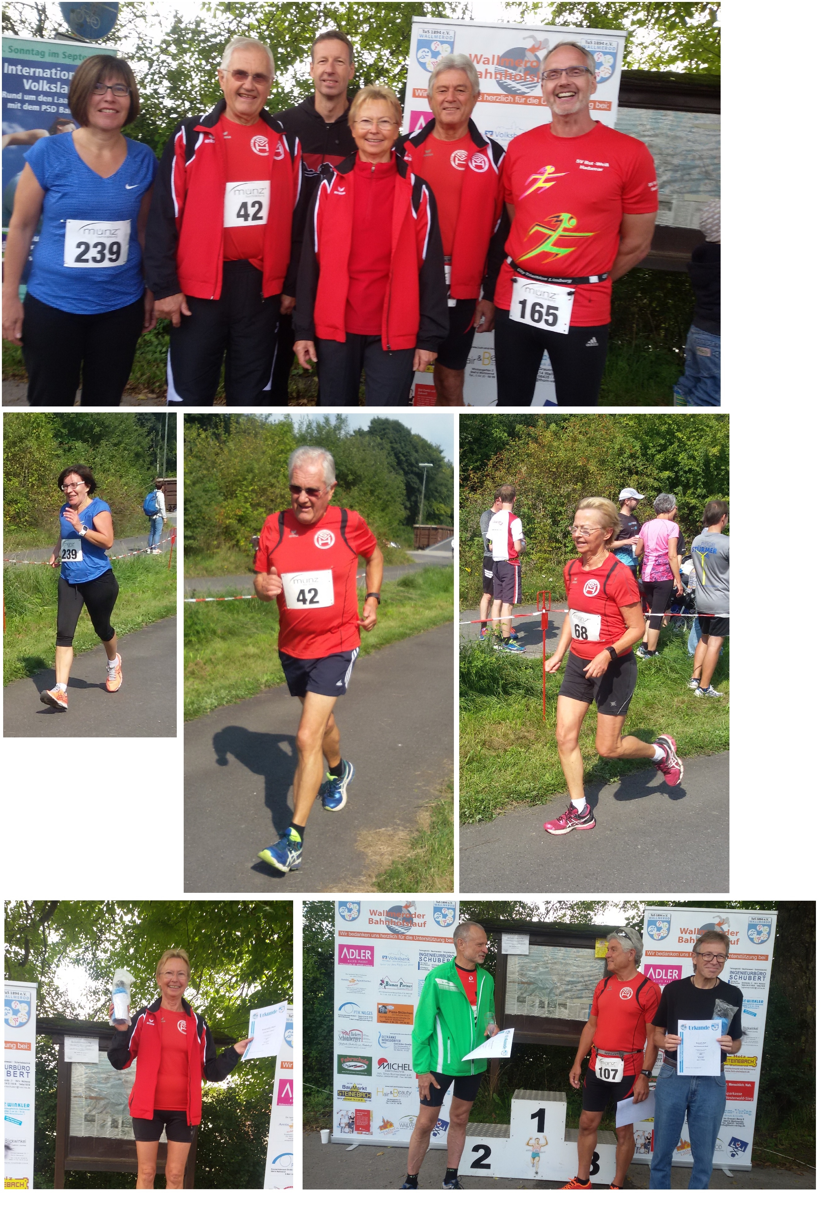 Wallmerod 2017